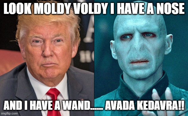 Voldemort and danold | LOOK MOLDY VOLDY I HAVE A NOSE; AND I HAVE A WAND...... AVADA KEDAVRA!! | image tagged in voldemort and danold | made w/ Imgflip meme maker