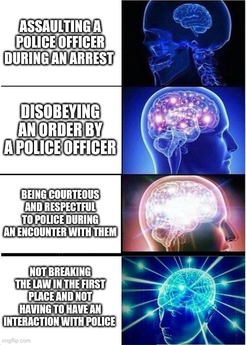 Expanding Brain Meme | ASSAULTING A POLICE OFFICER DURING AN ARREST; DISOBEYING AN ORDER BY A POLICE OFFICER; BEING COURTEOUS AND RESPECTFUL TO POLICE DURING AN ENCOUNTER WITH THEM; NOT BREAKING THE LAW IN THE FIRST PLACE AND NOT HAVING TO HAVE AN INTERACTION WITH POLICE | image tagged in memes,expanding brain | made w/ Imgflip meme maker