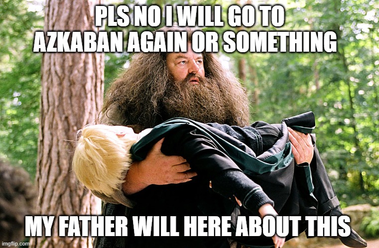 hagrid | PLS NO I WILL GO TO AZKABAN AGAIN OR SOMETHING; MY FATHER WILL HERE ABOUT THIS | image tagged in hagrid | made w/ Imgflip meme maker