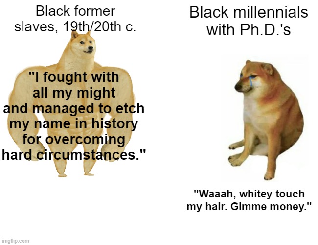 Buff Doge vs. Cheems | Black former slaves, 19th/20th c. Black millennials with Ph.D.'s; "I fought with all my might and managed to etch my name in history for overcoming hard circumstances."; "Waaah, whitey touch my hair. Gimme money." | image tagged in memes,buff doge vs cheems | made w/ Imgflip meme maker