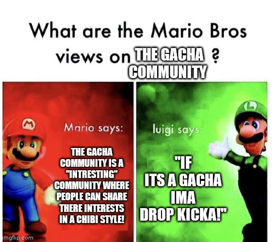 Mario And Luigis Views On The Gacha Community | THE GACHA COMMUNITY; "IF ITS A GACHA IMA DROP KICKA!"; THE GACHA COMMUNITY IS A "INTRESTING" COMMUNITY WHERE PEOPLE CAN SHARE THERE INTERESTS IN A CHIBI STYLE! | image tagged in mario bros views | made w/ Imgflip meme maker