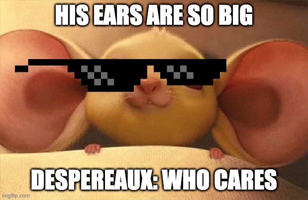 Despereaux | HIS EARS ARE SO BIG; DESPEREAUX: WHO CARES | image tagged in despereaux,meme | made w/ Imgflip meme maker