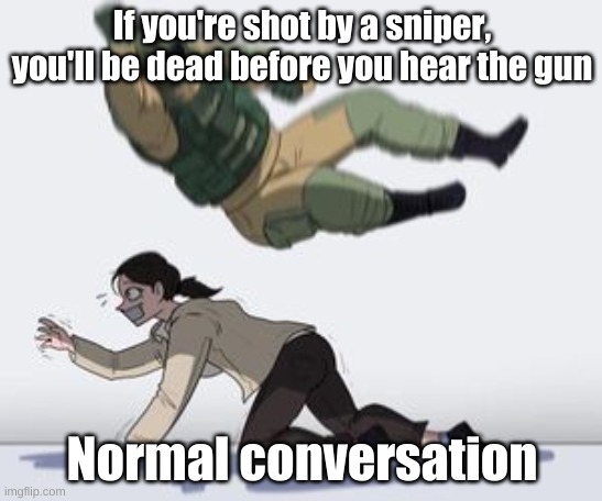 hmm | If you're shot by a sniper, you'll be dead before you hear the gun; Normal conversation | image tagged in normal conversation,sniper | made w/ Imgflip meme maker