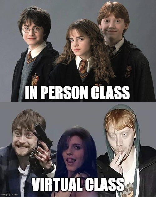 Harry Potter Hermiona Granger Ron Wesley | IN PERSON CLASS; VIRTUAL CLASS | image tagged in harry potter hermiona granger ron wesley | made w/ Imgflip meme maker