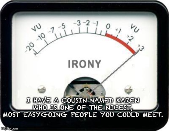 Non-Karen Karen | I HAVE A COUSIN NAMED KAREN WHO IS ONE OF THE NICEST, MOST EASYGOING PEOPLE YOU COULD MEET. | image tagged in irony meter | made w/ Imgflip meme maker