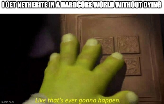 :( | I GET NETHERITE IN A HARDCORE WORLD WITHOUT DYING | image tagged in like that's ever gonna happen | made w/ Imgflip meme maker