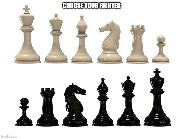 Chess Pieces | CHOOSE YOUR FIGHTER | image tagged in chess pieces | made w/ Imgflip meme maker