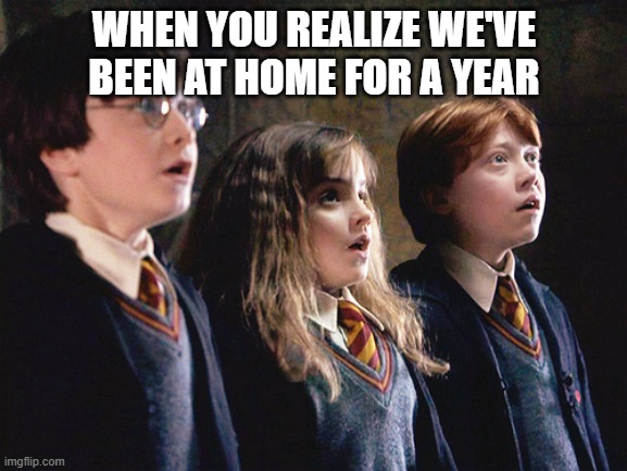 Hermione | WHEN YOU REALIZE WE'VE BEEN AT HOME FOR A YEAR | image tagged in hermione | made w/ Imgflip meme maker