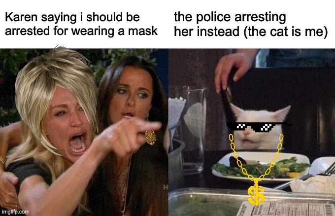 Woman Yelling At Cat | Karen saying i should be arrested for wearing a mask; the police arresting her instead (the cat is me) | image tagged in memes,woman yelling at cat | made w/ Imgflip meme maker