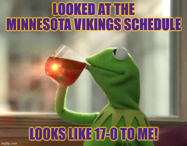 But That's None Of My Business (Neutral) Meme | LOOKED AT THE MINNESOTA VIKINGS SCHEDULE; LOOKS LIKE 17-0 TO ME! | image tagged in memes,but that's none of my business neutral | made w/ Imgflip meme maker