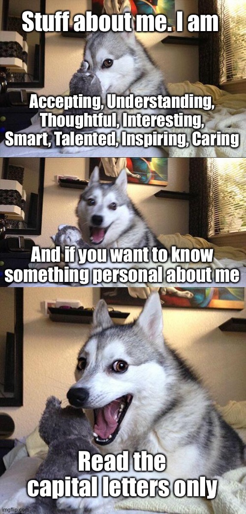 Bad Pun Dog Meme | Stuff about me. I am; Accepting, Understanding, Thoughtful, Interesting, Smart, Talented, Inspiring, Caring; And if you want to know something personal about me; Read the capital letters only | image tagged in memes,bad pun dog,autistic,personal,weird | made w/ Imgflip meme maker