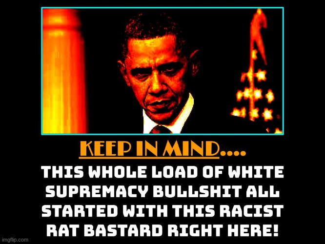 Notice how all this white supremacy crap didn't become a thing until after this Community Terrorist Organizer came along? | image tagged in white supremacy,white nationalism,white privilege,barack obama,politics,political | made w/ Imgflip meme maker