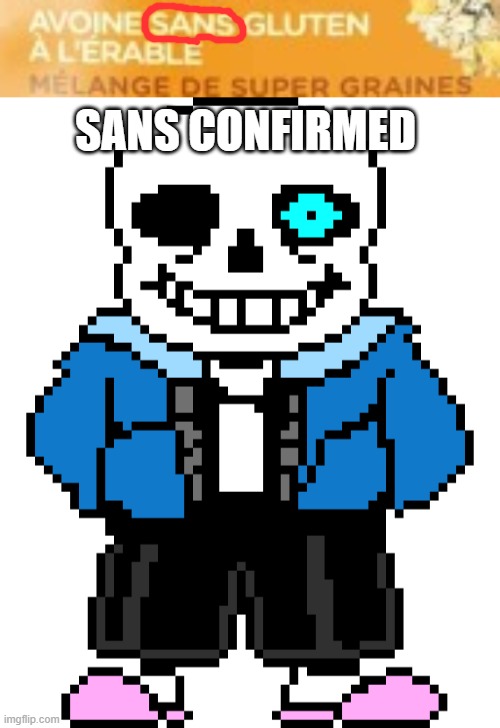SANS CONFIRMED | image tagged in bad time sans | made w/ Imgflip meme maker