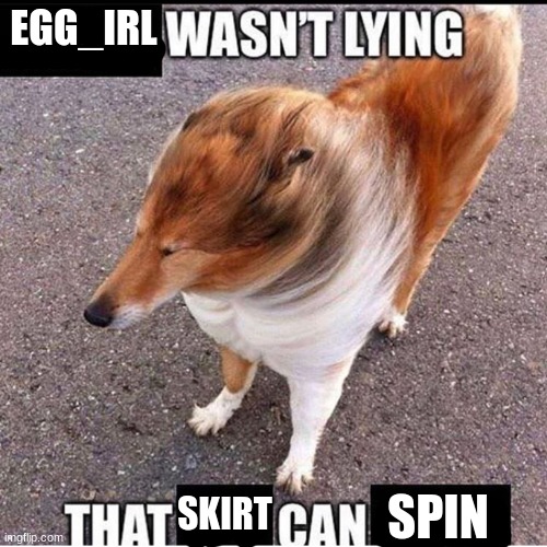 EGG_IRL; SKIRT; SPIN | made w/ Imgflip meme maker