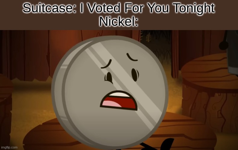 Ye That is How It Went | Suitcase: I Voted For You Tonight
Nickel: | image tagged in nickel i voted for you tonight | made w/ Imgflip meme maker