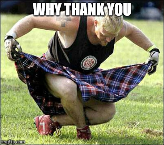 Bow | WHY THANK YOU | image tagged in bow | made w/ Imgflip meme maker