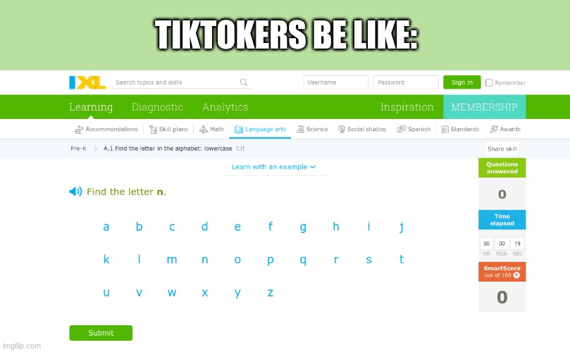 TickTokers be like...... | TIKTOKERS BE LIKE: | image tagged in tik tok sucks,fun | made w/ Imgflip meme maker