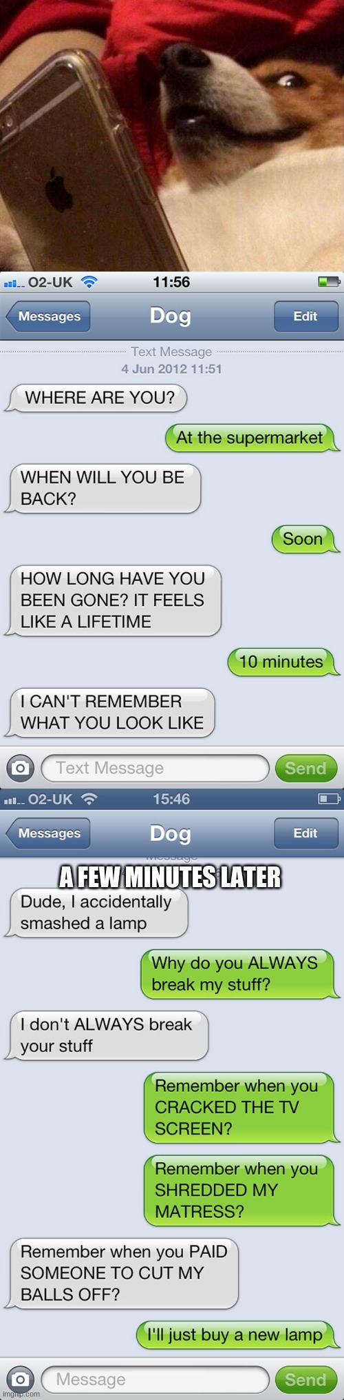 Repost, Kind of, inspired by who_am_i | A FEW MINUTES LATER | image tagged in dog phone,dog texting,memesoverload | made w/ Imgflip meme maker