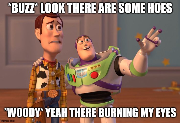 wow | *BUZZ* LOOK THERE ARE SOME HOES; *WOODY* YEAH THERE BURNING MY EYES | image tagged in memes,x x everywhere | made w/ Imgflip meme maker