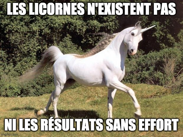 Unicorns | LES LICORNES N'EXISTENT PAS; NI LES RÉSULTATS SANS EFFORT | image tagged in unicorns | made w/ Imgflip meme maker