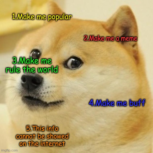 Doge Meme | 1.Make me popular; 2.Make me a meme; 3.Make me rule the world; 4.Make me buff; 5.This info cannot be showed on the internet | image tagged in memes,doge | made w/ Imgflip meme maker