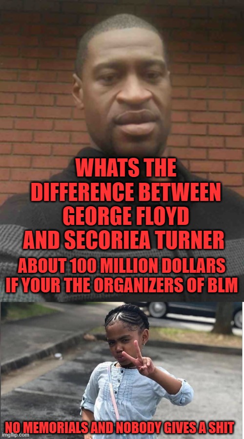 Yep | WHATS THE DIFFERENCE BETWEEN GEORGE FLOYD AND SECORIEA TURNER; ABOUT 100 MILLION DOLLARS IF YOUR THE ORGANIZERS OF BLM; NO MEMORIALS AND NOBODY GIVES A SHIT | image tagged in black lives matter,democrats,hypocrisy | made w/ Imgflip meme maker