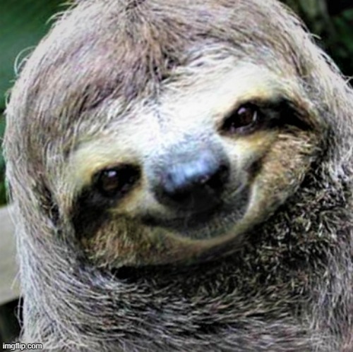 creepy sloth redux | image tagged in sloth | made w/ Imgflip meme maker