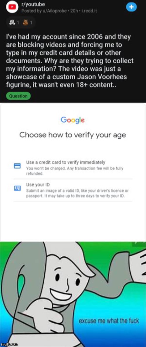 Youtube moment | image tagged in excuse me what the fu- | made w/ Imgflip meme maker