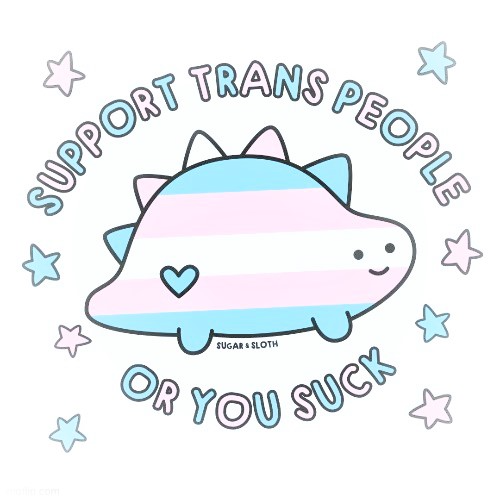 support trans people or you suck Blank Meme Template