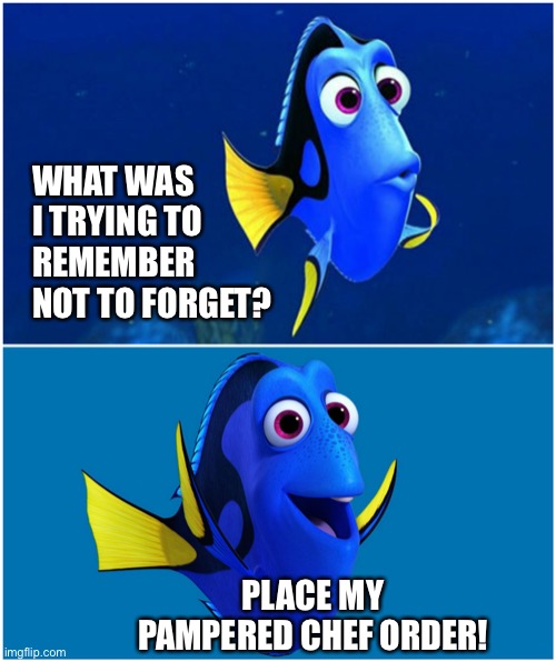 Place order | WHAT WAS I TRYING TO REMEMBER NOT TO FORGET? PLACE MY PAMPERED CHEF ORDER! | image tagged in dory | made w/ Imgflip meme maker