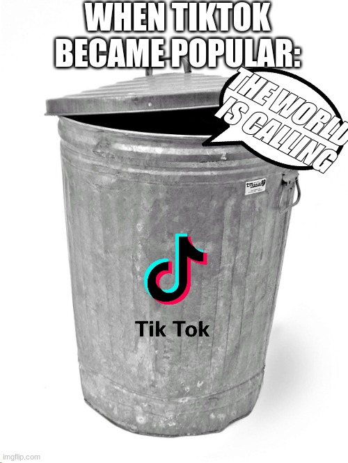 Trash Can | WHEN TIKTOK BECAME POPULAR:; THE WORLD IS CALLING | image tagged in trash can | made w/ Imgflip meme maker