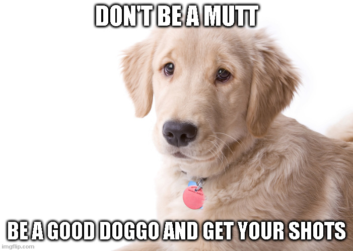 Get Your Shots | DON'T BE A MUTT; BE A GOOD DOGGO AND GET YOUR SHOTS | image tagged in vaccinations,covid-19 | made w/ Imgflip meme maker