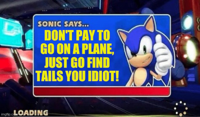 Sonic Says... | DON'T PAY TO GO ON A PLANE, JUST GO FIND TAILS YOU IDIOT! | image tagged in sonic says | made w/ Imgflip meme maker