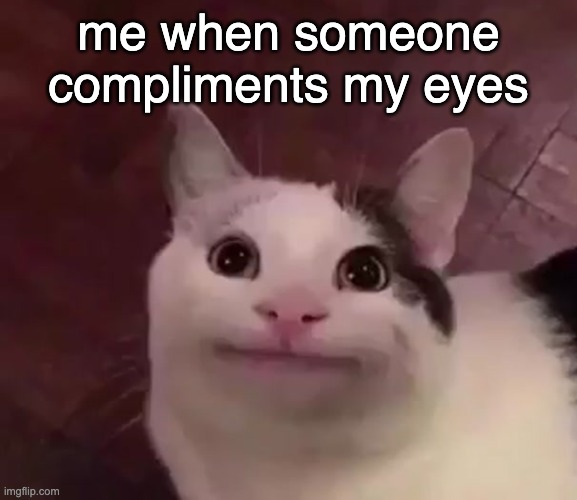 Awkward Cat | me when someone compliments my eyes | image tagged in awkward cat | made w/ Imgflip meme maker