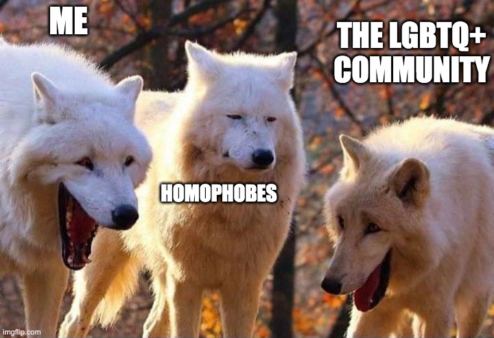 Laughing wolf | ME HOMOPHOBES THE LGBTQ+ COMMUNITY | image tagged in laughing wolf | made w/ Imgflip meme maker
