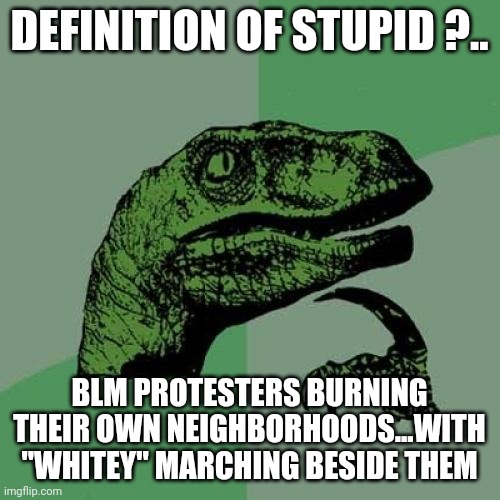 Philosoraptor | DEFINITION OF STUPID ?.. BLM PROTESTERS BURNING THEIR OWN NEIGHBORHOODS...WITH "WHITEY" MARCHING BESIDE THEM | image tagged in memes,philosoraptor | made w/ Imgflip meme maker
