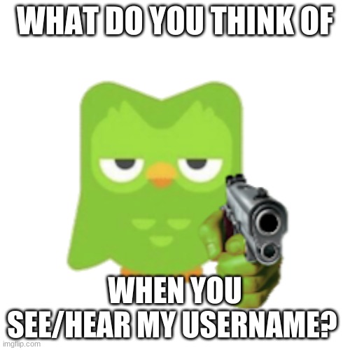 Duolingo | WHAT DO YOU THINK OF; WHEN YOU SEE/HEAR MY USERNAME? | image tagged in duolingo | made w/ Imgflip meme maker