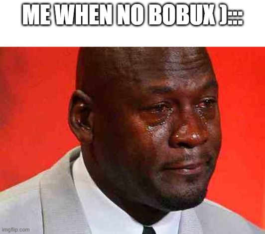 crying michael jordan | ME WHEN NO BOBUX )::: | image tagged in crying michael jordan | made w/ Imgflip meme maker
