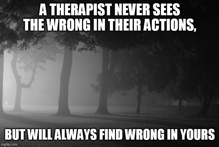 You Are Always to Blame | A THERAPIST NEVER SEES THE WRONG IN THEIR ACTIONS, BUT WILL ALWAYS FIND WRONG IN YOURS | image tagged in therapist,therapy,blame | made w/ Imgflip meme maker