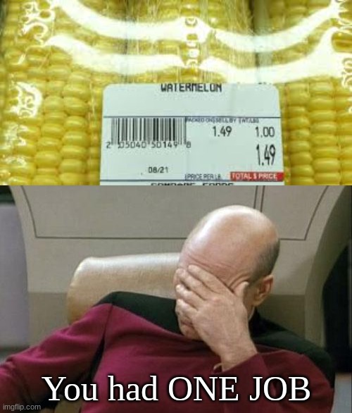 You had ONE JOB | image tagged in memes,captain picard facepalm | made w/ Imgflip meme maker