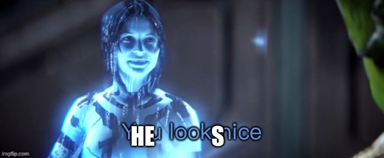 You look nice | HE             S | image tagged in you look nice | made w/ Imgflip meme maker