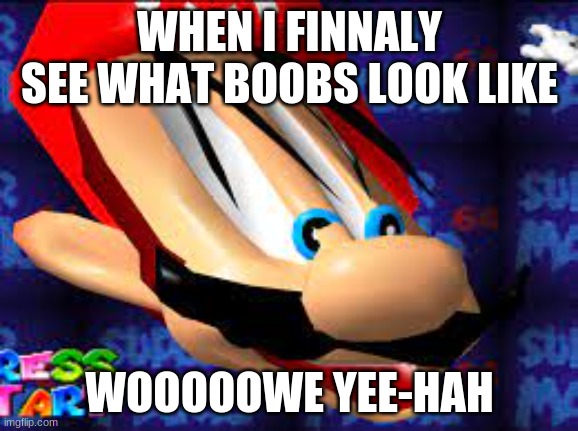 mario+boobs | WHEN I FINNALY SEE WHAT BOOBS LOOK LIKE; WOOOOOWE YEE-HAH | image tagged in mario | made w/ Imgflip meme maker