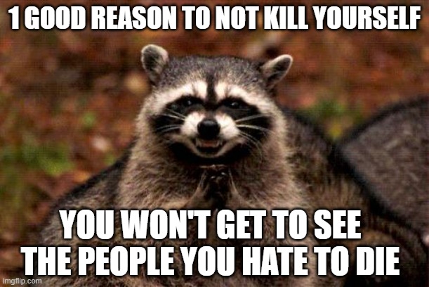 good reason to not do it |  1 GOOD REASON TO NOT KILL YOURSELF; YOU WON'T GET TO SEE THE PEOPLE YOU HATE TO DIE | image tagged in memes,evil plotting raccoon,funny,die,enemies,suicide | made w/ Imgflip meme maker