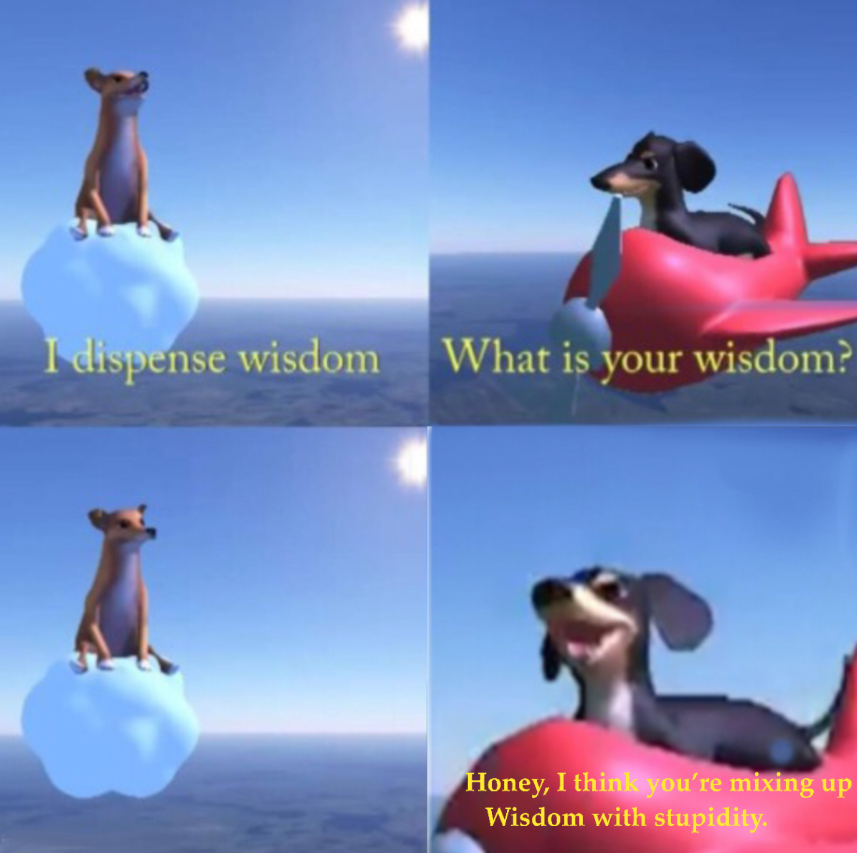 You’re mixing up wisdom with stupidity dog Blank Meme Template