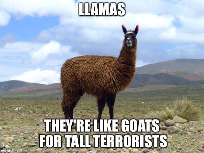 I'd Click On It - Just to See | image tagged in llamas | made w/ Imgflip meme maker