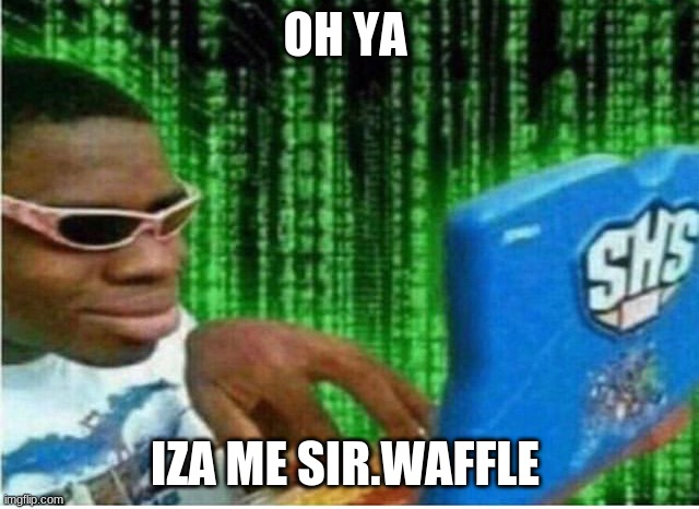 Hacker man | OH YA; IZA ME SIR.WAFFLE | image tagged in hacker man | made w/ Imgflip meme maker