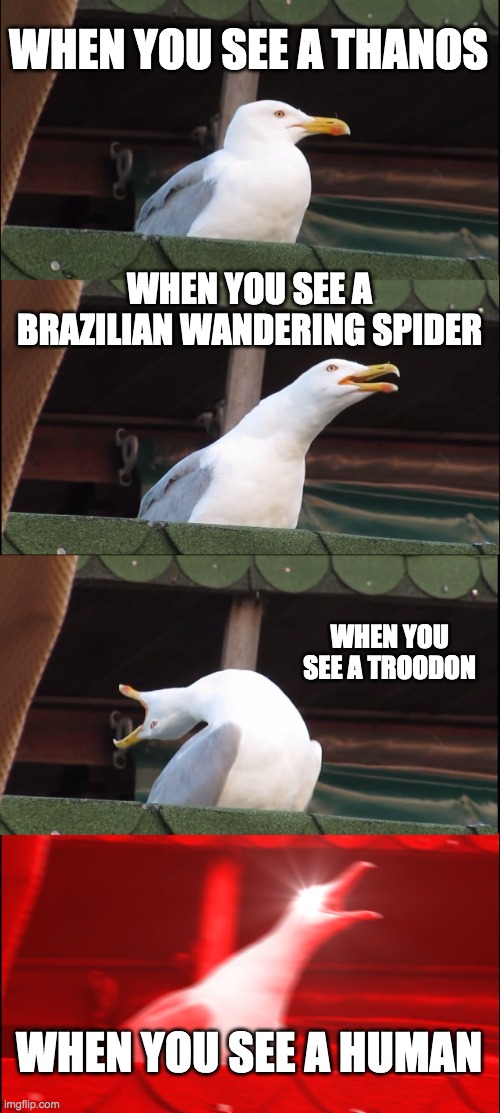 Inhaling Seagull | WHEN YOU SEE A THANOS; WHEN YOU SEE A BRAZILIAN WANDERING SPIDER; WHEN YOU SEE A TROODON; WHEN YOU SEE A HUMAN | image tagged in memes,inhaling seagull | made w/ Imgflip meme maker