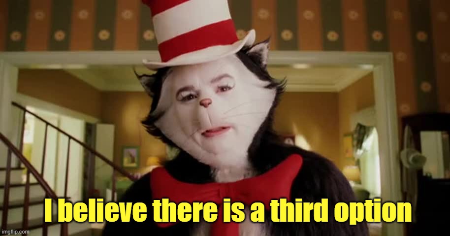 Third option cat in the hat | I believe there is a third option | image tagged in third option cat in the hat | made w/ Imgflip meme maker