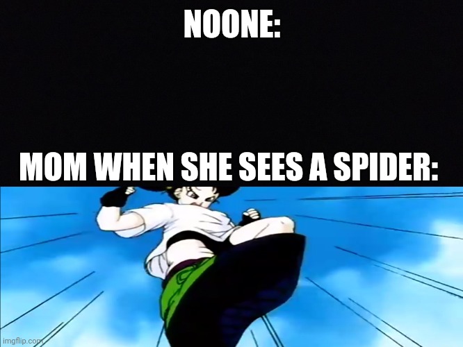 Black space | NOONE:; MOM WHEN SHE SEES A SPIDER: | image tagged in black space | made w/ Imgflip meme maker