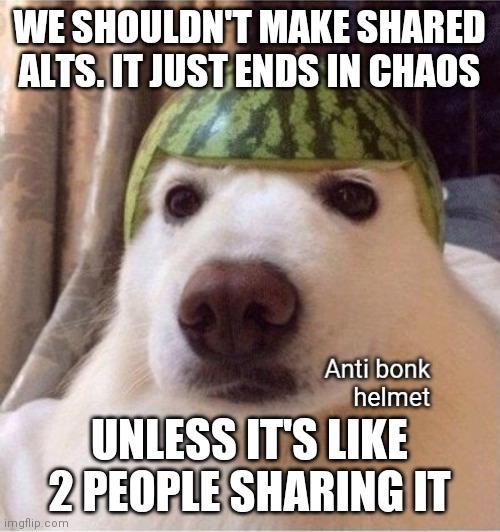 Anti bonk helmet | WE SHOULDN'T MAKE SHARED ALTS. IT JUST ENDS IN CHAOS; UNLESS IT'S LIKE 2 PEOPLE SHARING IT | image tagged in anti bonk helmet | made w/ Imgflip meme maker